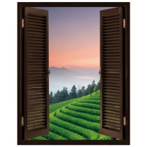 Ventanas 3d plantación té vinilos